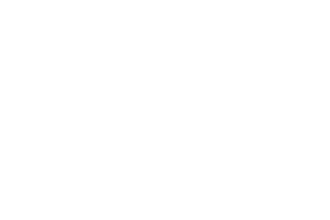 BorgWarner